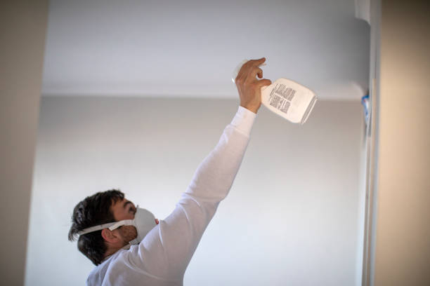 Best Fast Mold Removal  in Middletown, MD
