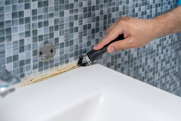 Best Best Mold Removal Companies  in Middletown, MD