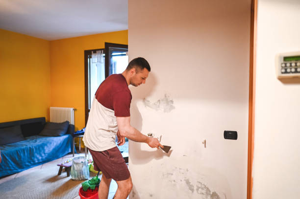 Best Residential Mold Removal  in Middletown, MD