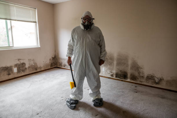 Best Fast Mold Removal  in Middletown, MD